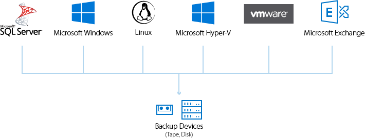 Comprehensive Data Protection Trusted by Millions